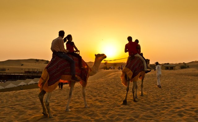 Morning Desert Safari